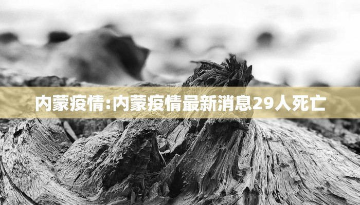 内蒙疫情:内蒙疫情最新消息29人死亡
