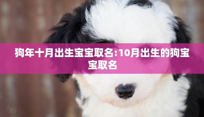 狗年十月出生宝宝取名:10月出生的狗宝宝取名