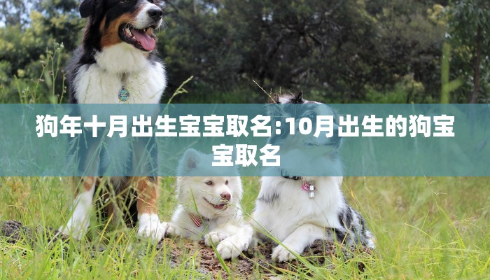 狗年十月出生宝宝取名:10月出生的狗宝宝取名