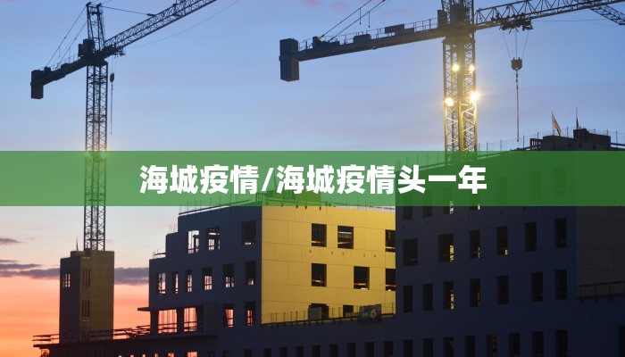 海城疫情/海城疫情头一年