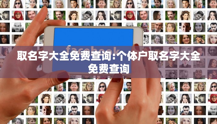 取名字大全免费查询:个体户取名字大全免费查询