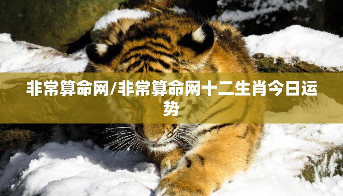 详细阅读:【疫情西安,疫情西安驰援运城】 【疫情西安,疫情西安驰援运城】