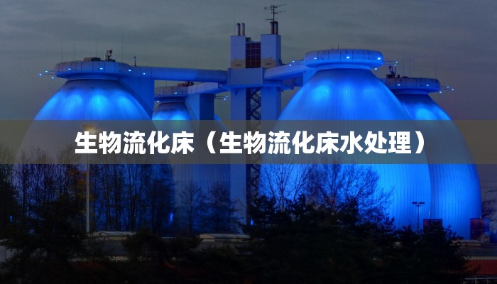 生物流化床（生物流化床水处理）