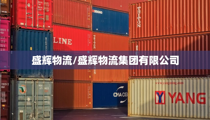 盛辉物流/盛辉物流集团有限公司