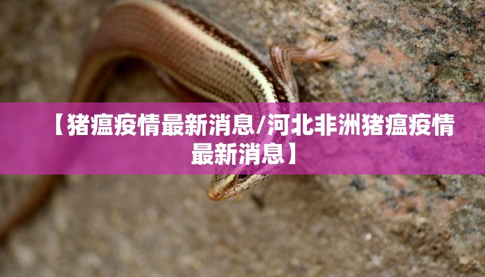 【猪瘟疫情最新消息/河北非洲猪瘟疫情最新消息】