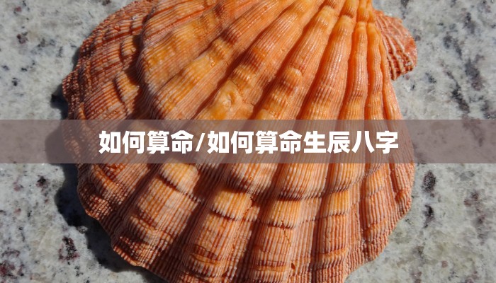 阿启免费算命婚姻/阿启算命网免费算命2020