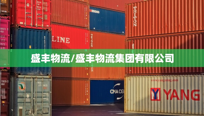 盛丰物流/盛丰物流集团有限公司