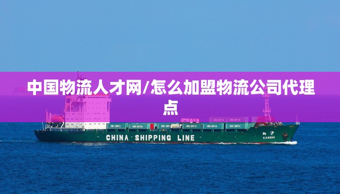 中国物流人才网/怎么加盟物流公司代理点