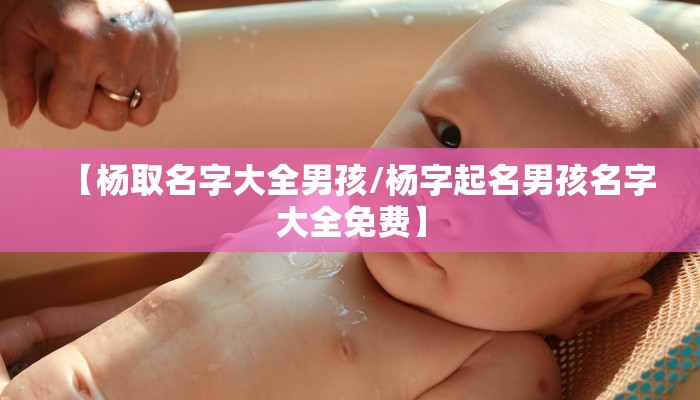 【杨取名字大全男孩/杨字起名男孩名字大全免费】