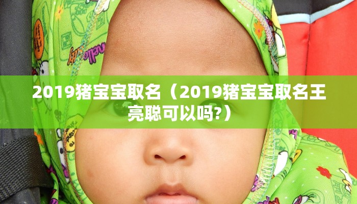 2019猪宝宝取名(2019猪宝宝取名王亮聪可以吗?)