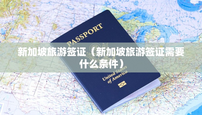 新加坡旅游签证(新加坡旅游签证需要什么条件)