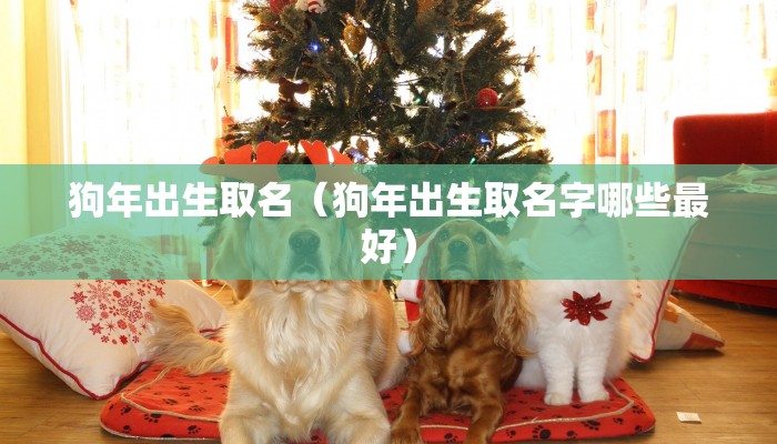 狗年出生取名（狗年出生取名字哪些最好）