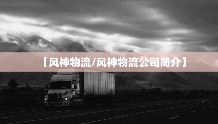 【风神物流/风神物流公司简介】
