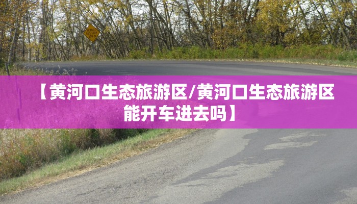 【黄河口生态旅游区/黄河口生态旅游区能开车进去吗】