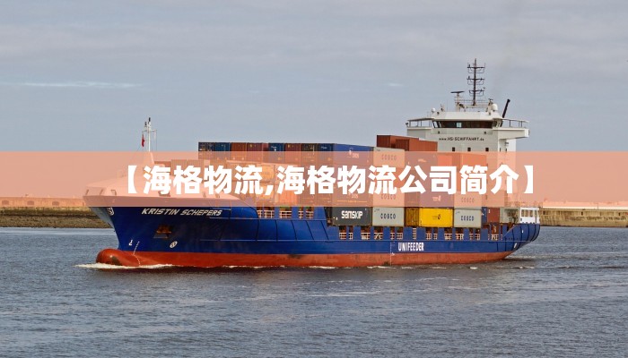 【海格物流,海格物流公司简介】