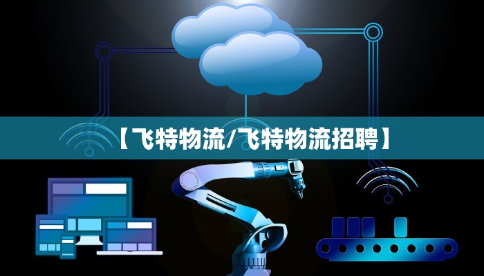 【飞特物流/飞特物流招聘】
