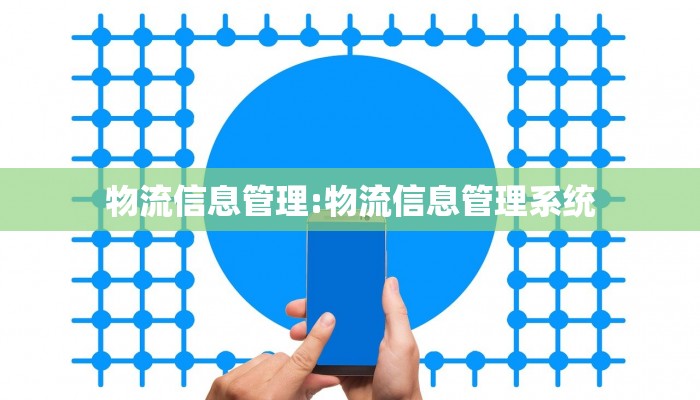 物流信息管理:物流信息管理系统
